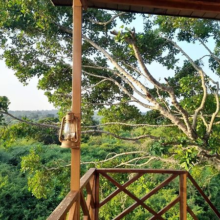 Готель Leopard Nest - Glamping In Яла Екстер'єр фото