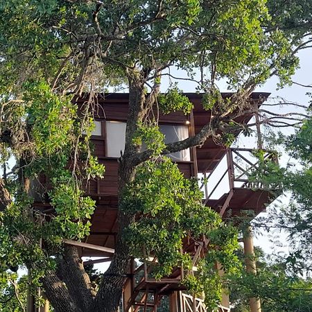 Готель Leopard Nest - Glamping In Яла Екстер'єр фото