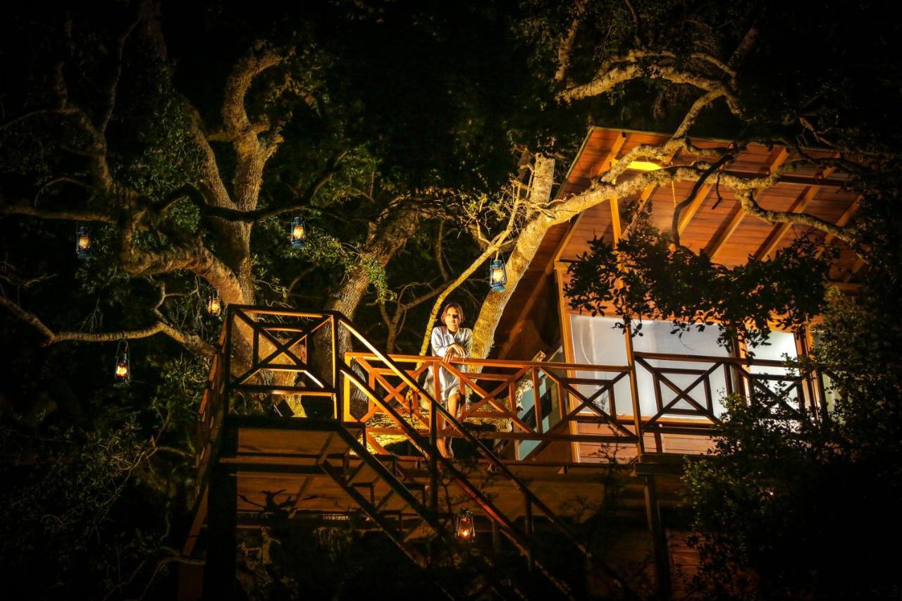 Готель Leopard Nest - Glamping In Яла Екстер'єр фото