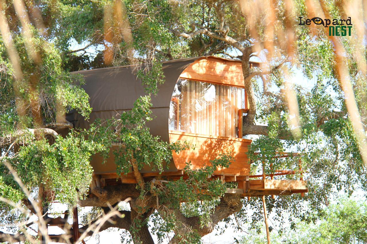 Готель Leopard Nest - Glamping In Яла Екстер'єр фото