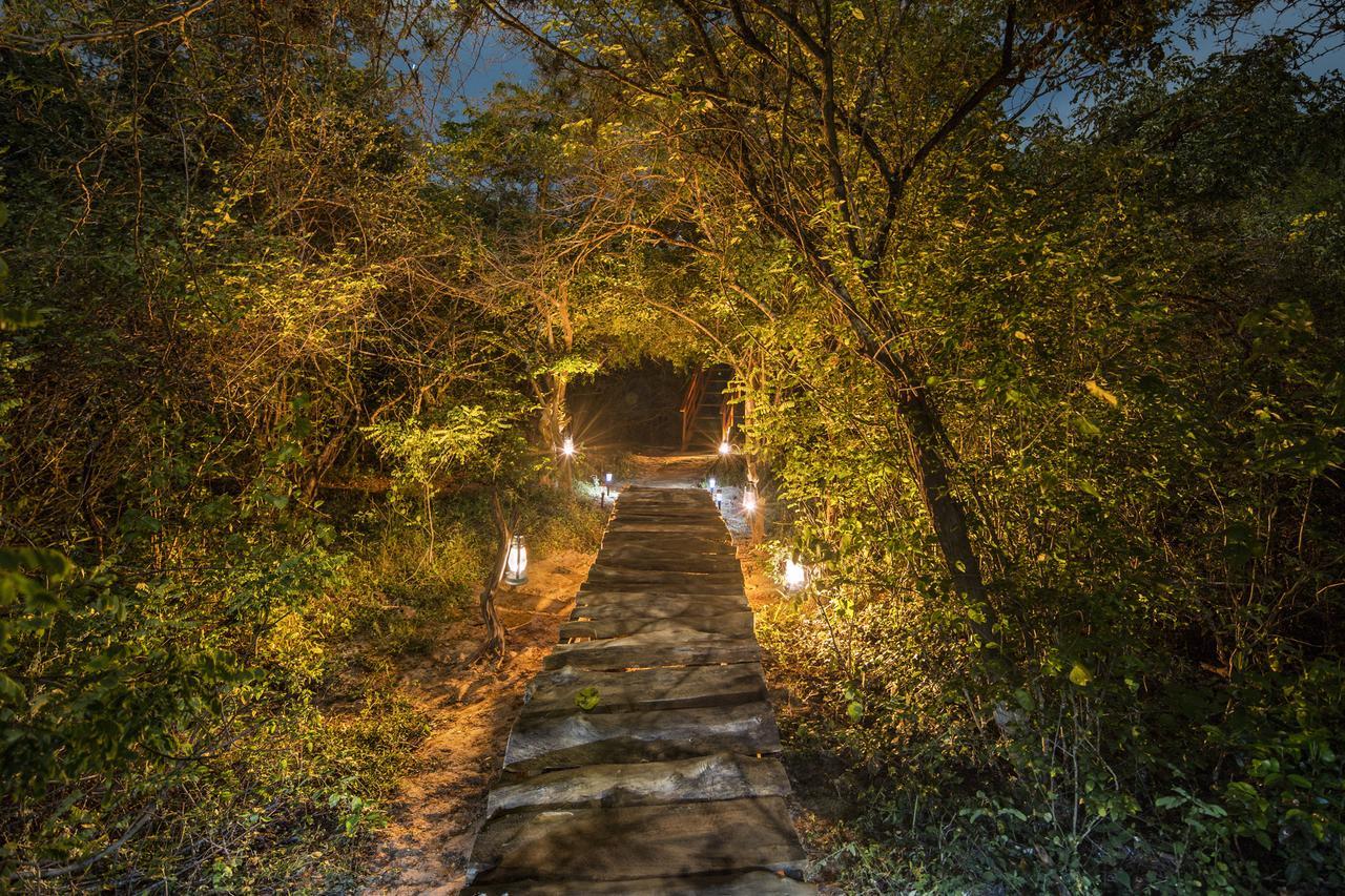 Готель Leopard Nest - Glamping In Яла Екстер'єр фото