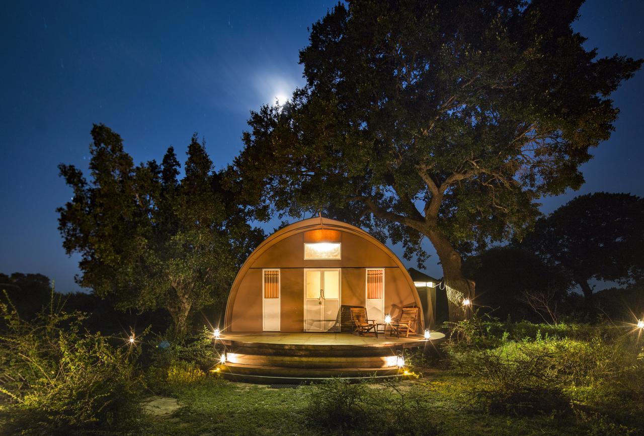 Готель Leopard Nest - Glamping In Яла Екстер'єр фото
