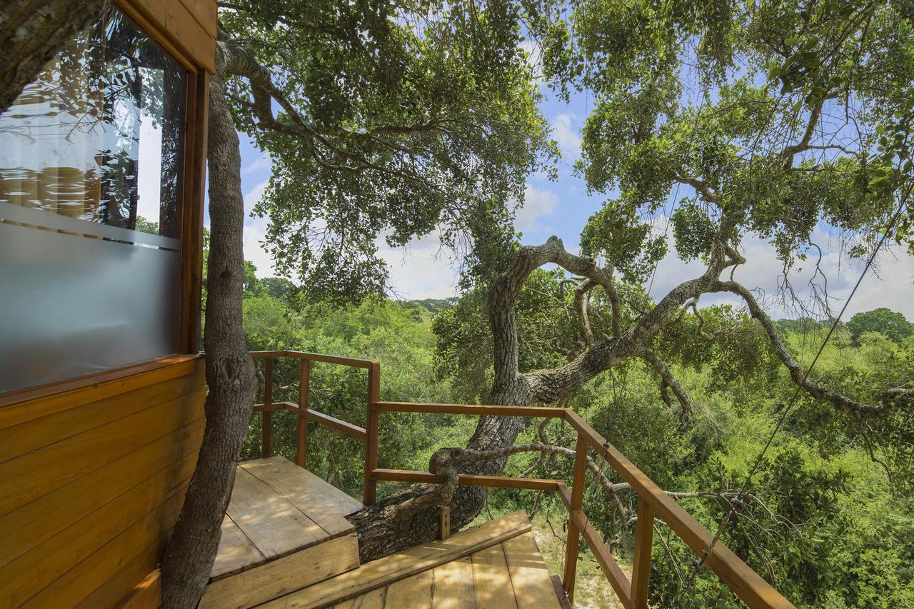 Готель Leopard Nest - Glamping In Яла Екстер'єр фото