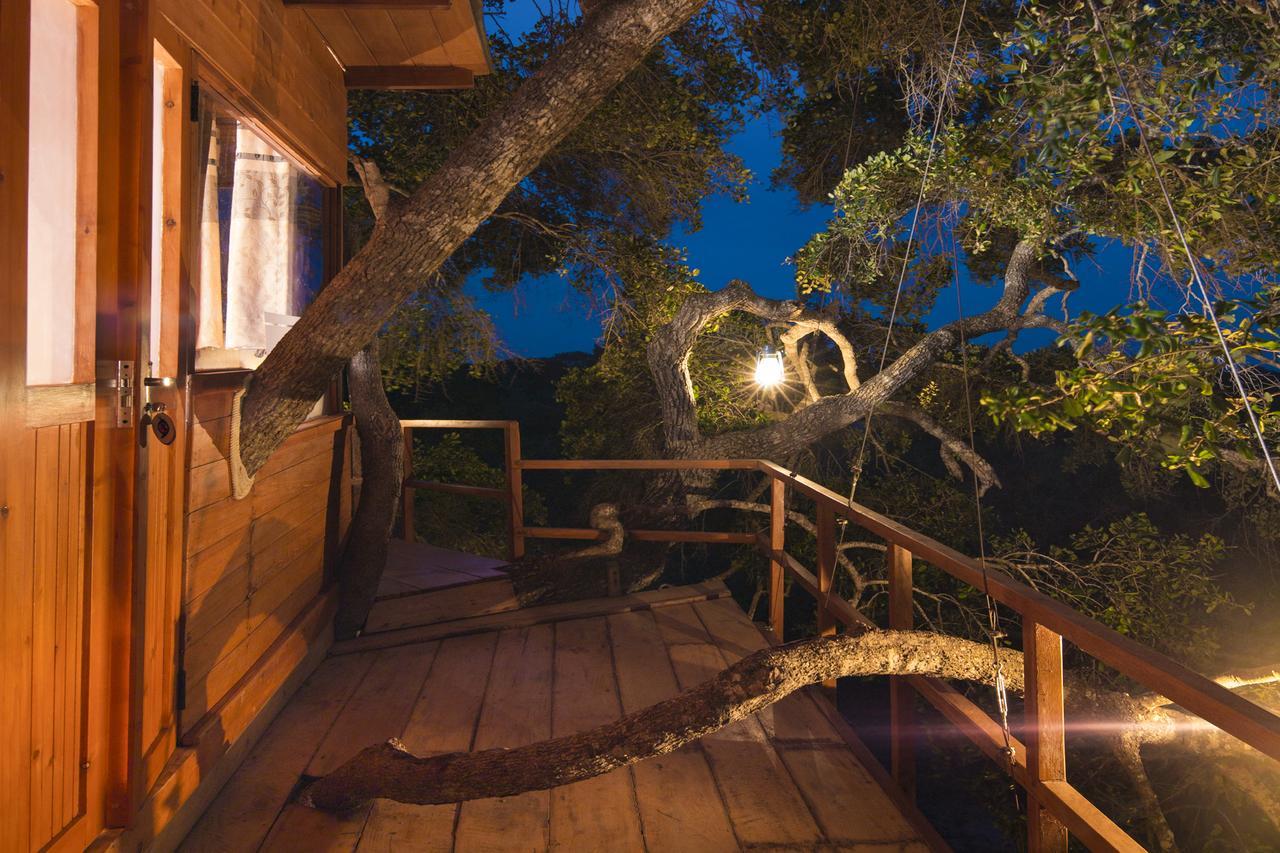 Готель Leopard Nest - Glamping In Яла Екстер'єр фото